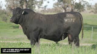 Lot 119 NMM25W177 MILLAH MURRAH WEALTHY W177