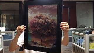 3D Lenticular Pictures-Four Season Pictures with Frame screenshot 3