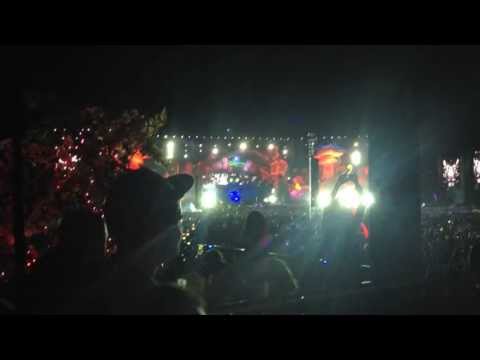 Calvin Harris - Awooga/Monkey See Monkey Do -  EDC 2013
