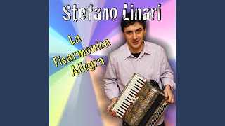 Video thumbnail of "Stefano Linari - Sentimento (Valzer)"