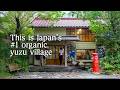 I Visited Japan’s #1 Organic Yuzu Producer (and Only 750 People Live Here)