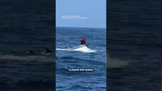Whale watching crew rescues men after boat capsized