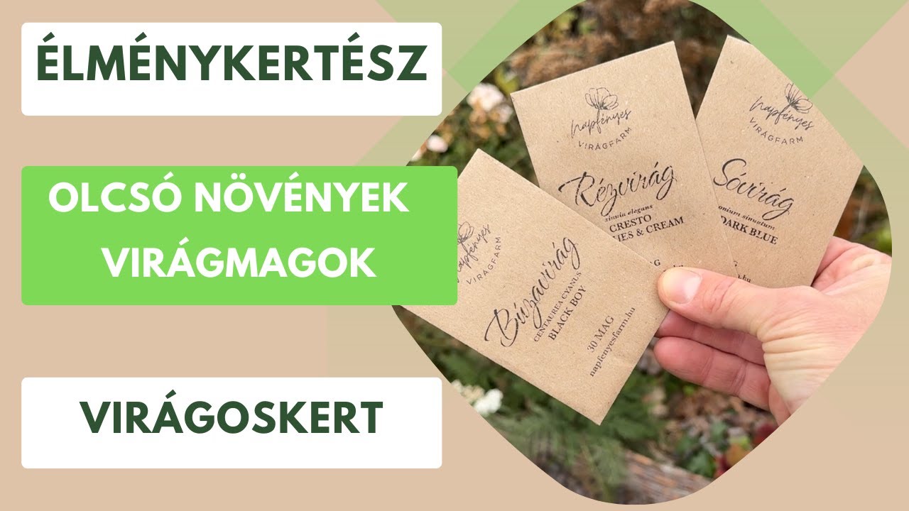 Virágpompa a kertben- Virágmagok a Napfényes Virágfarmtól🌼🌸