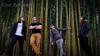 MASSIVE Bamboo Forest in Atlanta? (Hiking East Palisades)