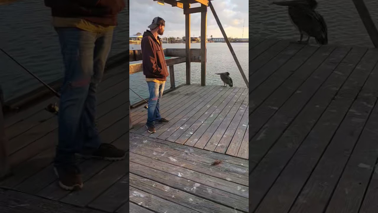 port Mansfield in Texas. crazy fishing #portmansfield #countrymusic #fishing #love