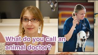 【語彙】Jobs｜やりたい仕事、英語で言えるかな？