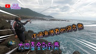 這個漁港還真多魚｜＃黑毛＃白毛＃豬哥＃臭肚 ，全部到齊｜＃釣魚＃磯釣