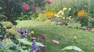Peak Bloom🌺Full Mid August Garden Tour!  Front, Back, and Side Yards🌸