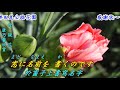 感謝状 ~母へのメッセージ~(感謝狀~獻給母親的訊息~)1997(日語~島津亜矢+翻譯)銘哥翻唱