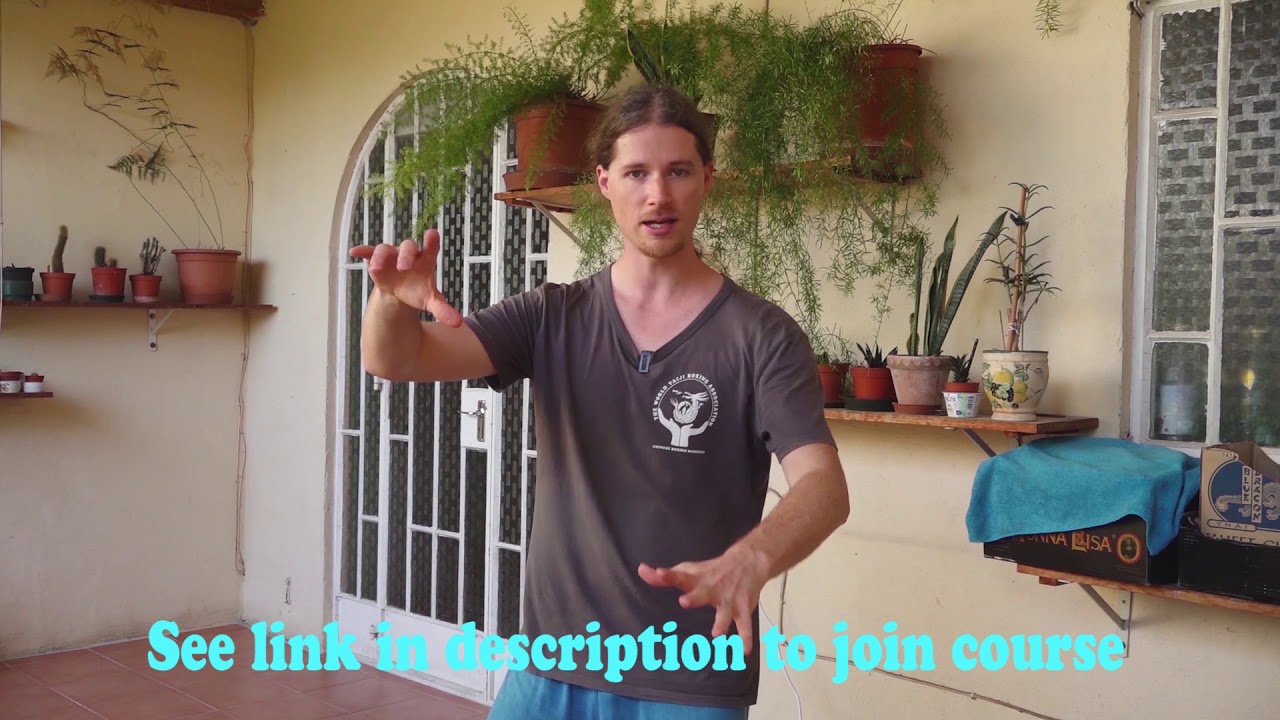 Foundations Training Program Intro YouTube