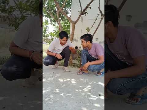 चींटी का Birthday || #shorts #comedy #shortfeed #reels #tranding #funny #romantic