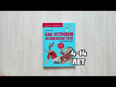 Как устроено человеческое тело. От клетки до сердца.