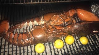 Grilled $200.00 10 pound lobster TASTY