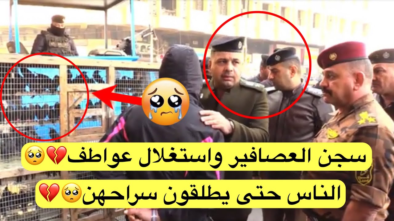 شاهد ماذا فعل المقدم عزيز ناصر سجن العصافير واستغلال عواطف الناس حتى يطلقون سراحهن🥺💔 كارثه😱