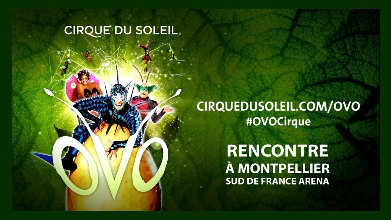 Au coeur du spectacle OVO du Cirque du Soleil - YouTube