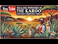 South Africa's Karoo Rich with Nature's Healing Plants, Health & Wellness