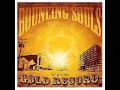 The bouncing souls  the gold song