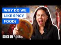 Why we like spicy food according to science  bbc reel