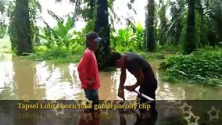 Download Lagu Goloman sir feat adi sir Boru toke Gota MP3 Download Lagu Goloman sir feat adi sir Boru toke Gota MP3