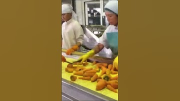 how to make raw carrot to be dried carrot pieces #driedvegetables #machine #foodprocessing