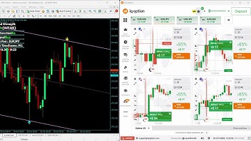 Binary Trading: The ONLY Accurate Paid Non Repaint Indicator 🏆 (95% Win Rate SECRET! 🤫)