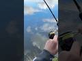 Big fish ! Carp fishing #fishing #carpfishing #fishingvideo #carp #рибалка #fish #shorts