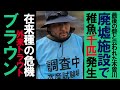 【侵略的外来種】噂になっていた木曽川漁協のブラウントラウトの実態 【木曽川漁協タイムズ vol.10】