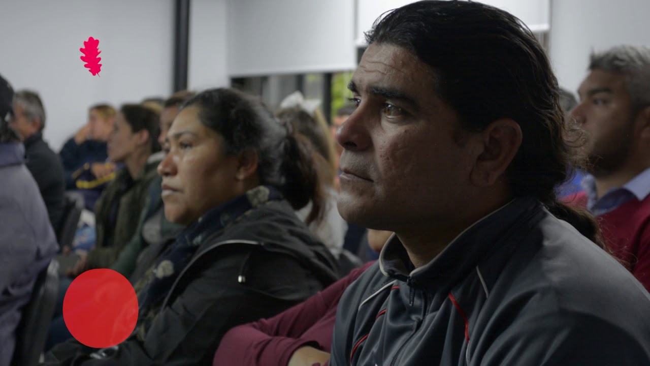 universidad nacional de la plata brasileiros Noticias UNLP - Cátedra Libre de Cooperación y Trabajo