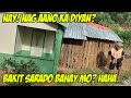 LUMAKI LANG BAHAY NI NANAY NENITA, DUMAMI NA RIN MGA ASO NIYA! HAHA