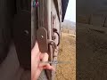 Pha phục kích thót tim và cái kết nức lòng! #shorts