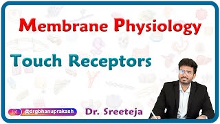 Touch receptors physiology : USMLE Step 1