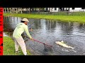 CATCHING the WHITE WHALE in a Canal! **The Claws in the Tunnel**