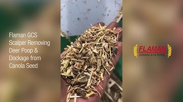 GCS Scalper Removing Deer Poop | Product Demo | Flaman Grain Systems