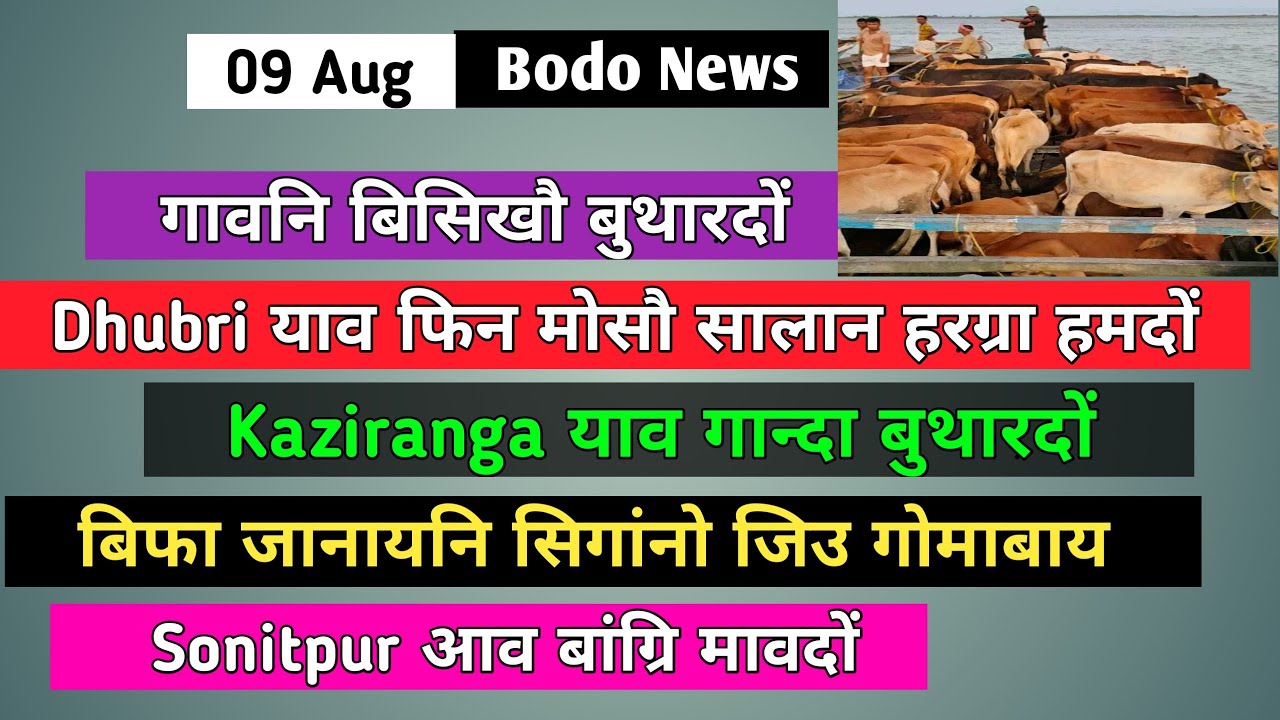 Bodo news 09 August| Bodoland news|bodoland radab|boro radab|bodo radab|Bodo info|bodoland khourang