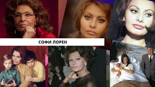 Красавица даже в 87 лет: как сейчас живет Софи Лорен и как выглядит сегодня?