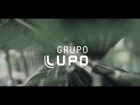 Lupo Institucional