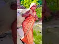 #comedy #song #sorts #dance #bannibannageet #itsbanna