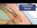 Deep Wound Closures | The Cadaver-Based Suturing Course