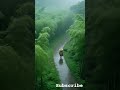 Feelings That Words Can’t Express 💔 #nature #meditationmusic #shorts #shortvideo #stressrelief