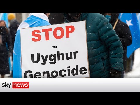 Uighur tribunal into alleged Chinese genocide continues in London
