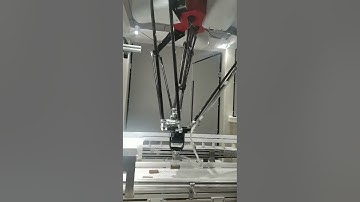 Biscuit put on edge by 3+2 axis delta robot
