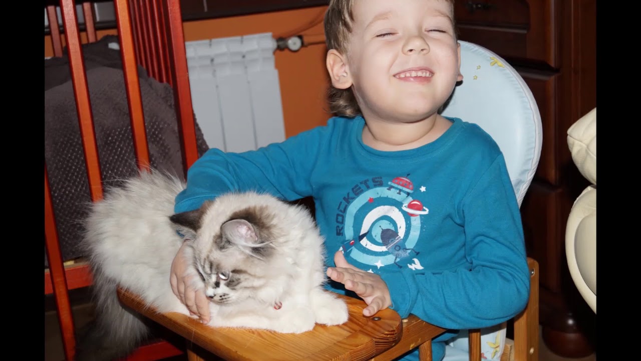 KONCERT CHARYTATYWNY DLA WIKTORA / 31.01.2020 r.