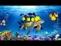 Шум моря 🐢 музыка, расслабляющая водных животных🐋 музыка  лечащая нервы и помогающая заснуть