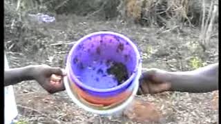 BEEKEEPING PRACTICAL TRAINING IN NIGERIA