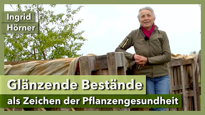 Blattglanz als wichtiges Zeichen der Pflanzengesun...