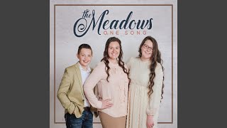 Video thumbnail of "The Meadows - I Don't Know"