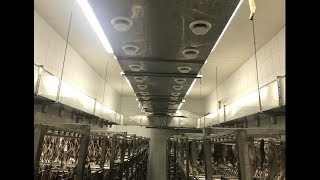 Камера НЕ вяления рыба. КАК НЕЛЬЗЯ ВЯЛИТЬ!!!!