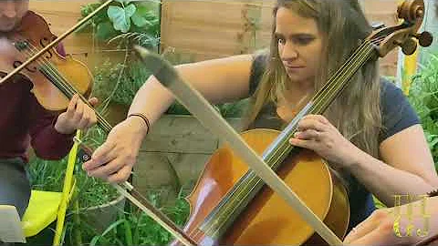 Samuel Coleridge-Taylor Clarinet Quintet ii Larghe...