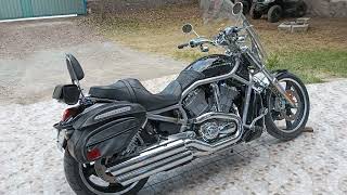 Harley Davidson VRSC V-Rod - 2004 Tour