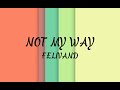 Felivand - Not My Way (lyrics)